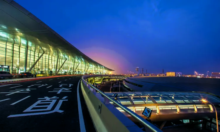 Διεθνές Αεροδρόμιο Nanjing Lukou