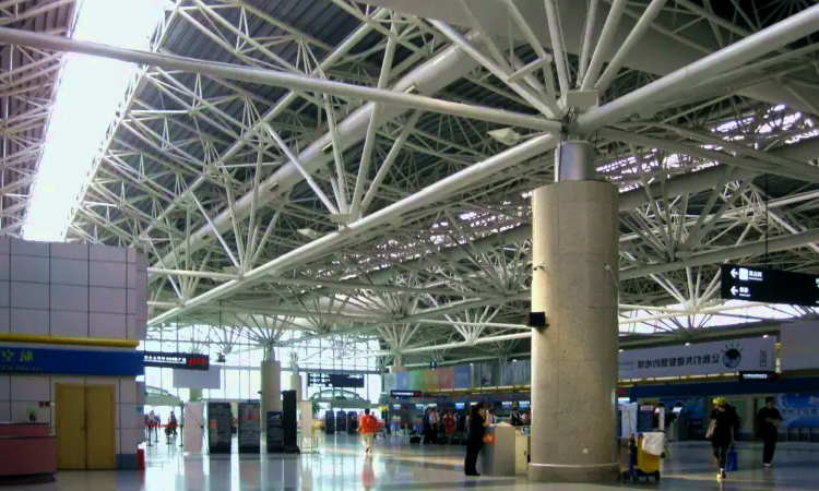 Διεθνές Αεροδρόμιο Nanjing Lukou